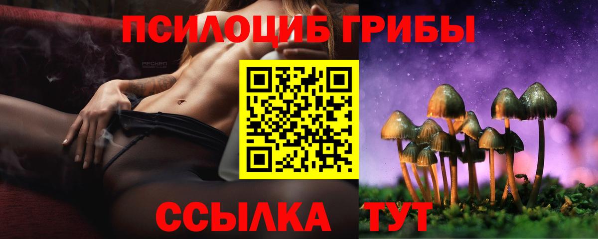 Галлюциногенные грибы Psilocybine cubensis Владимир
